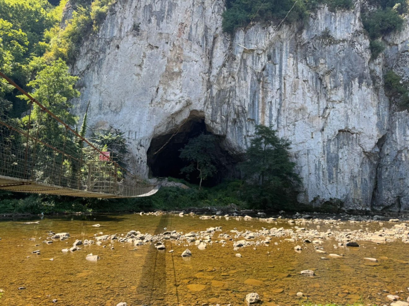 Vársonkolyos Királyerdő