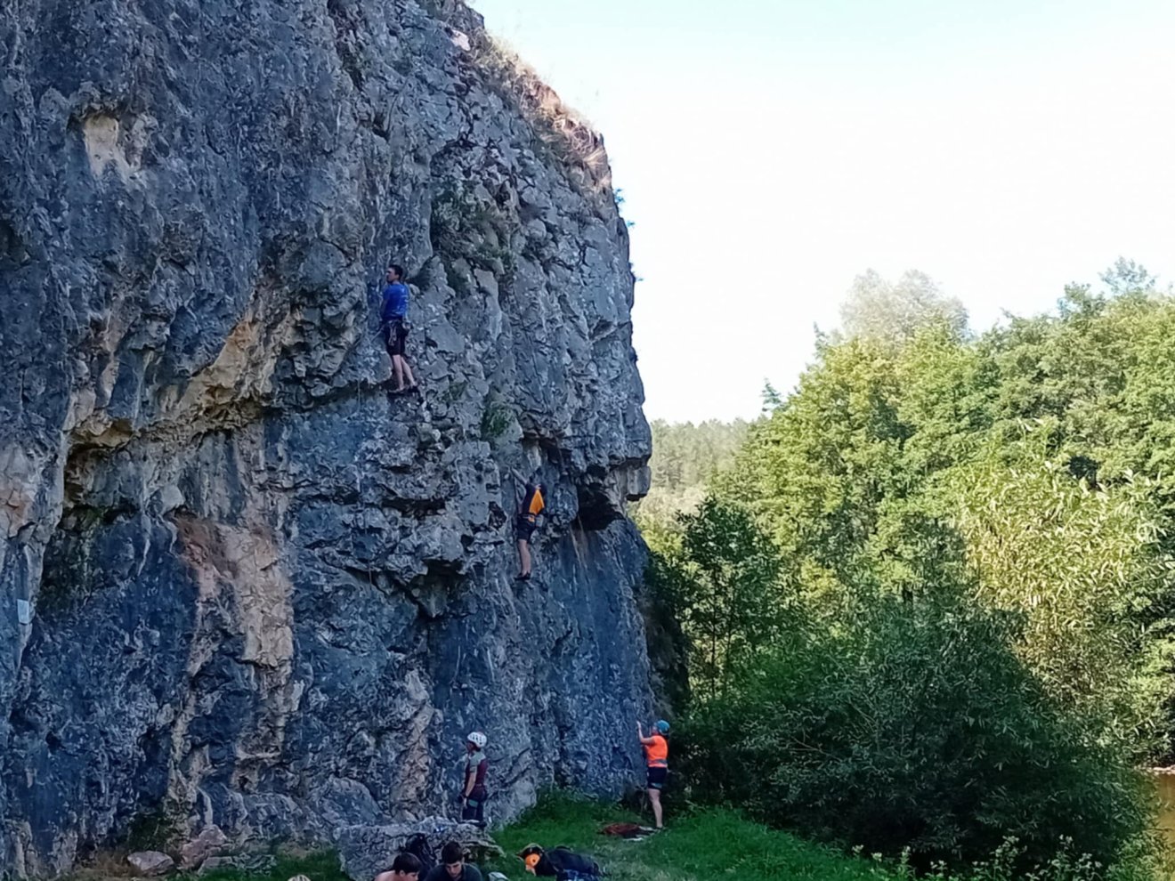 Vársonkolyos Királyerdő
