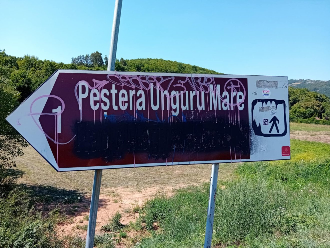 Vársonkolyos Királyerdő