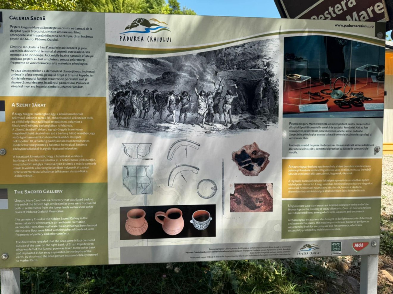 Vársonkolyos Királyerdő