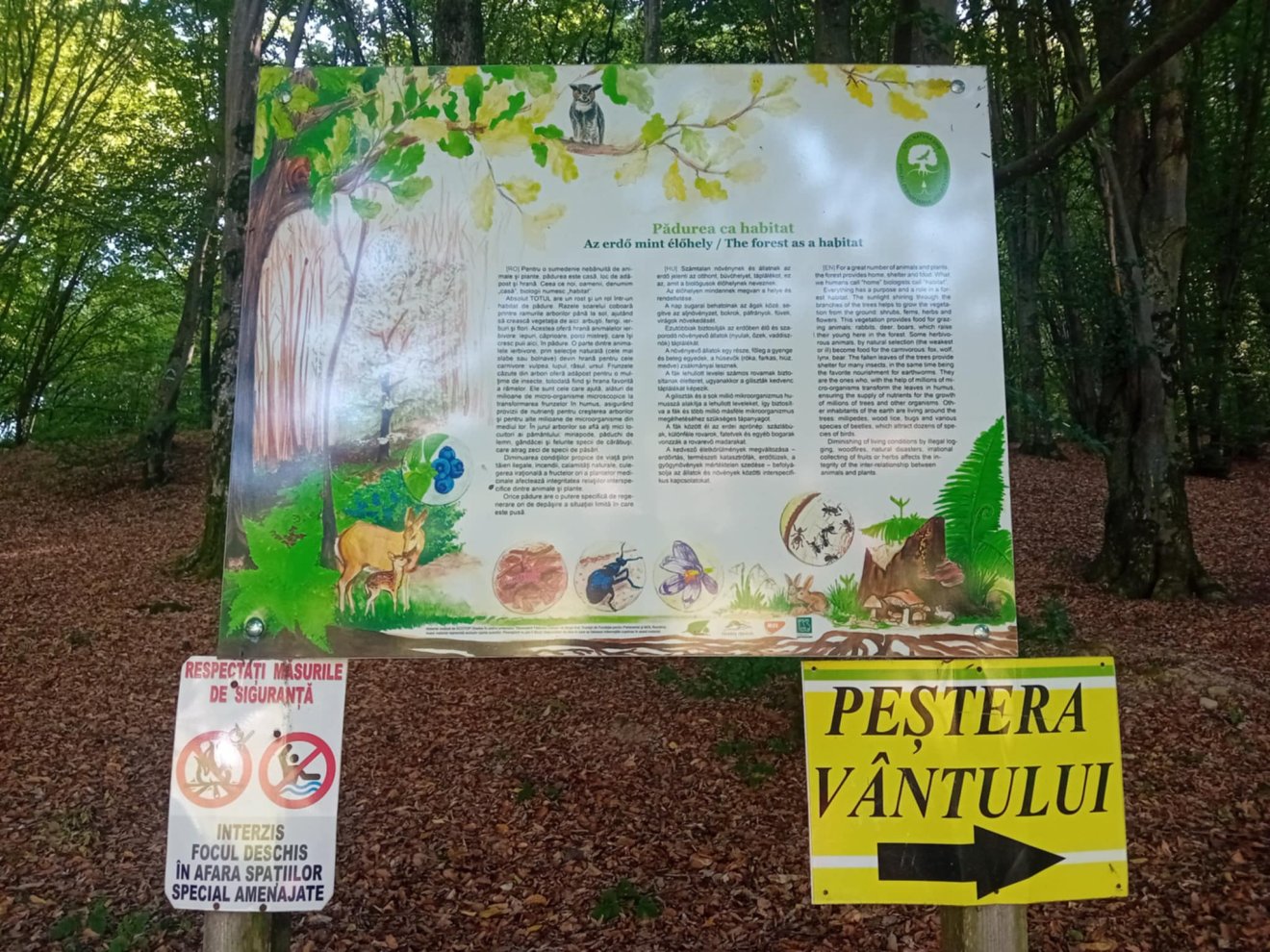Vársonkolyos Királyerdő