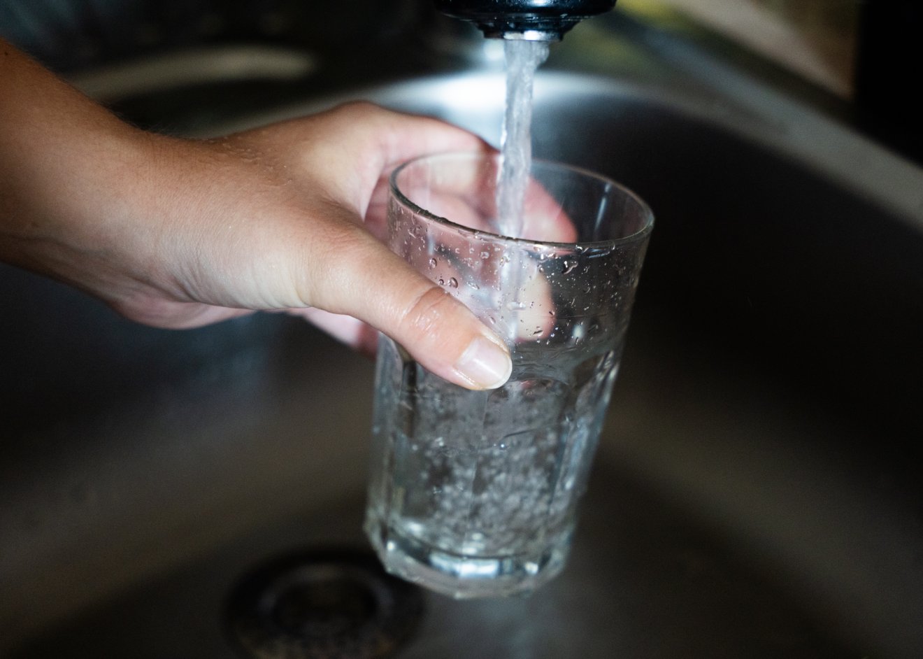 • Fotó: Orbán Orsolya