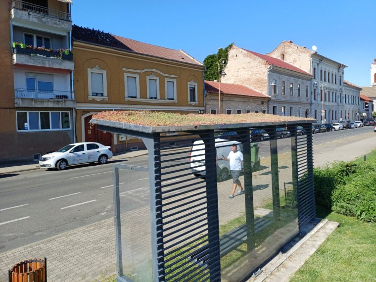 Szabotázst gyanítanak Aradon a buszmegálló tetejére telepített zöld növényzet kiszáradása esetében