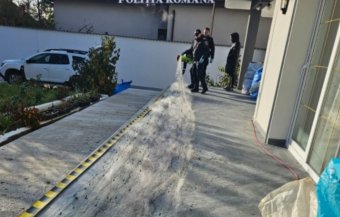 Hálóval loptak halastóból halat, a nagyváradi fogdában kötöttek ki