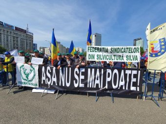 Befeketítést kiáltanak a reform ellen tiltakozó erdészek – Miniszter: megvédjük Románia erdőit