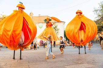 Öt ország művészei érkeznek a kolozsvári WonderPuck Utcaszínházi Fesztiválra