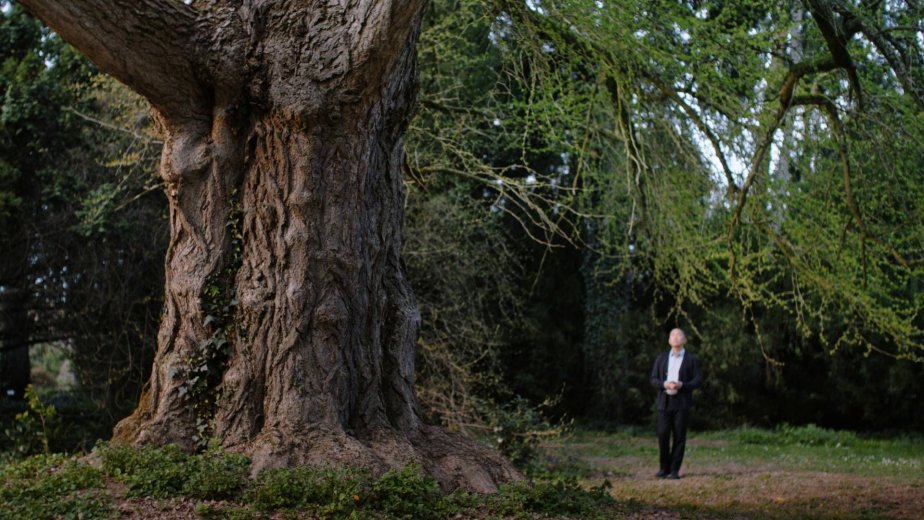 Enyedi Ildikó retrospektív vetítéssorozat a kolozsvári Művész moziban