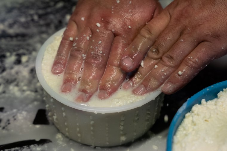 Nem kell félni, nem tűnik el a kecskesajt és juhtúró