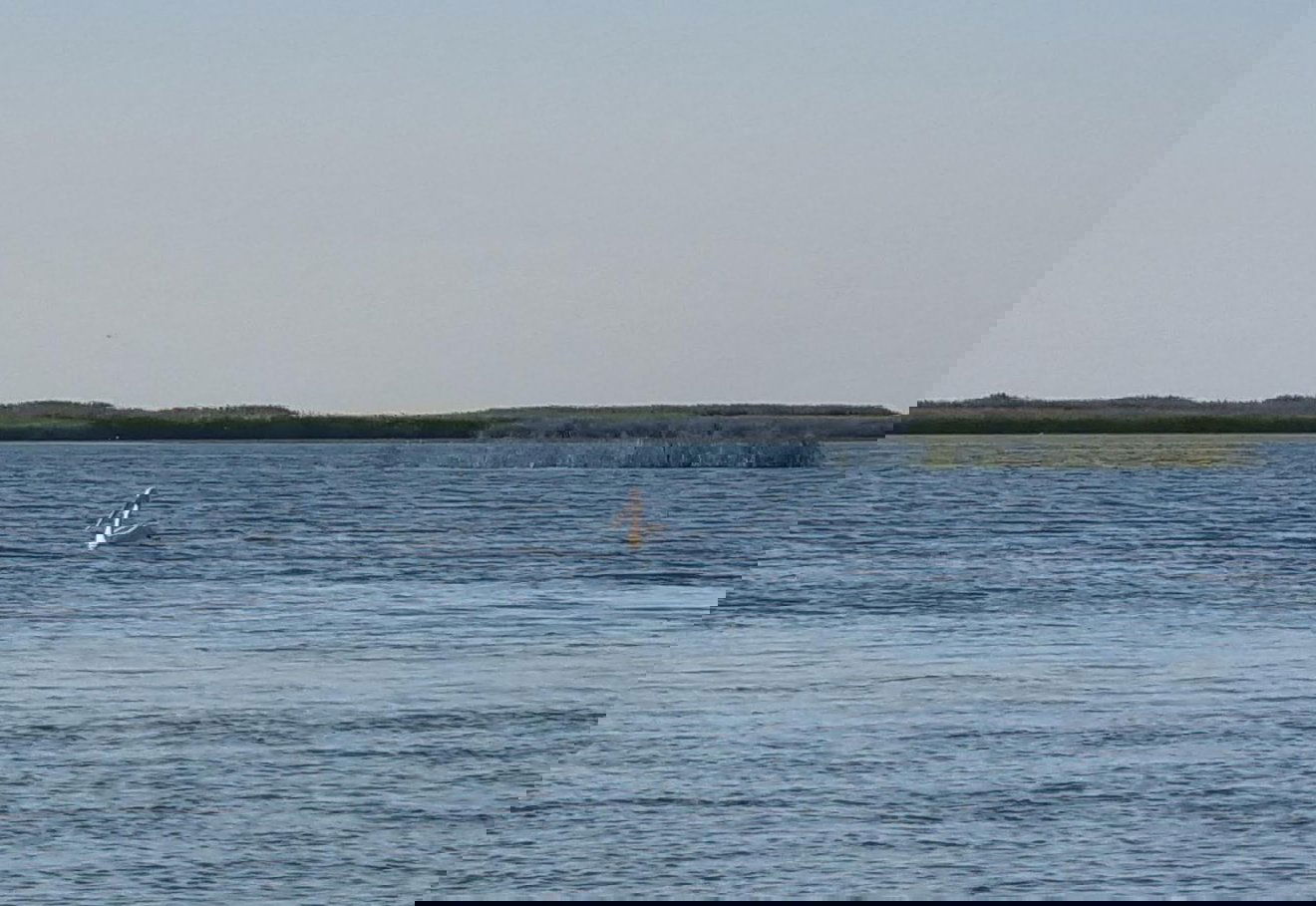 Románia Duna-delta Szentgyörgy Fekete-tenger