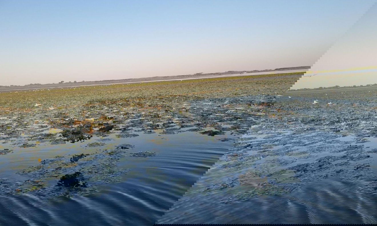 Románia Duna-delta Szentgyörgy Fekete-tenger
