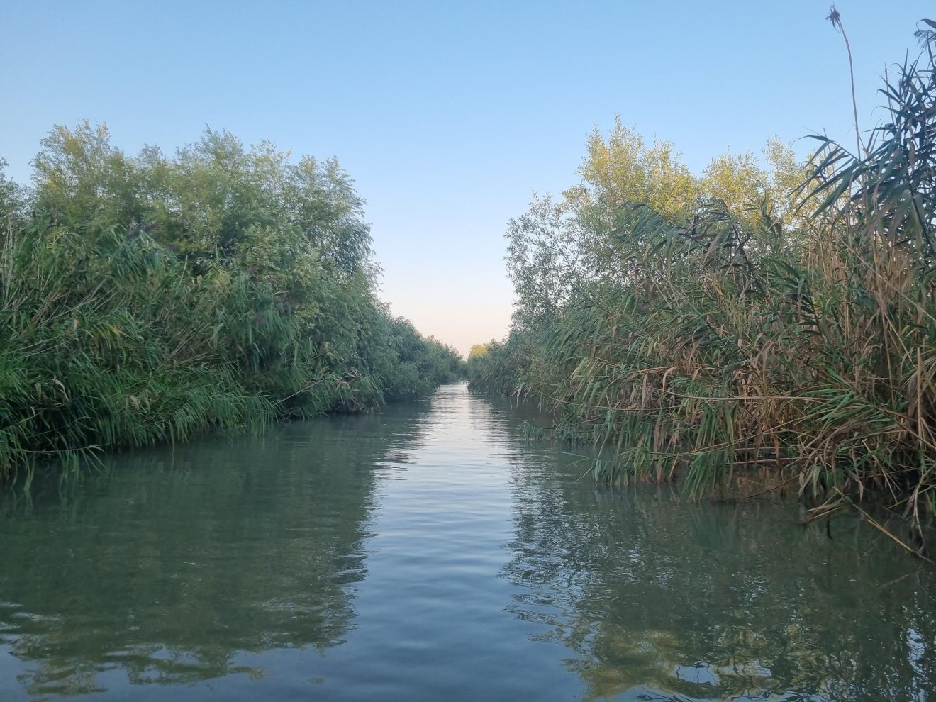 Románia Duna-delta Szentgyörgy Fekete-tenger