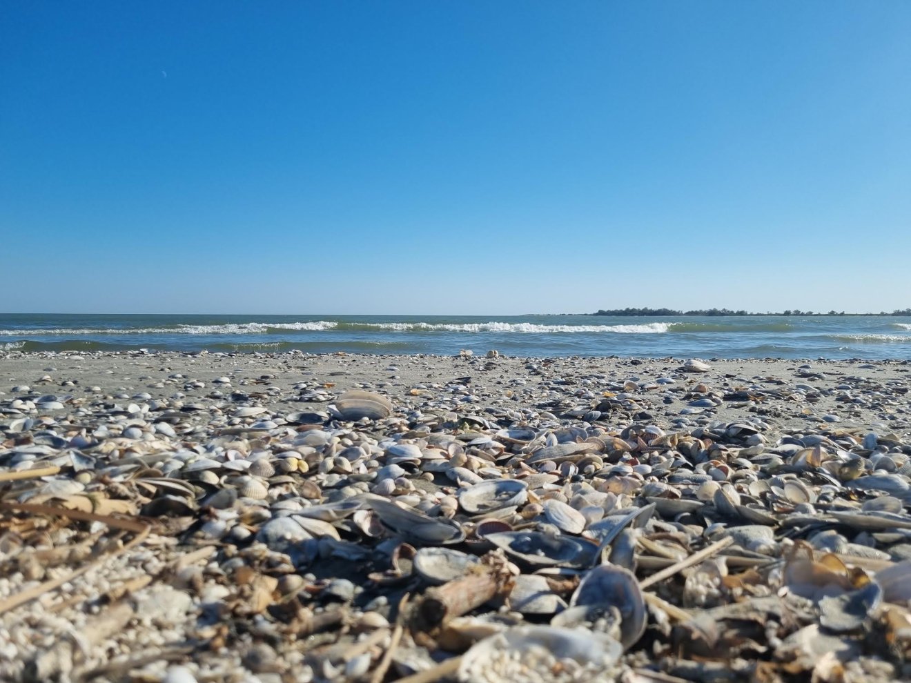 Románia Duna-delta Szentgyörgy Fekete-tenger