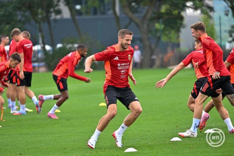 világbajnokság selejtező magyar válogatott