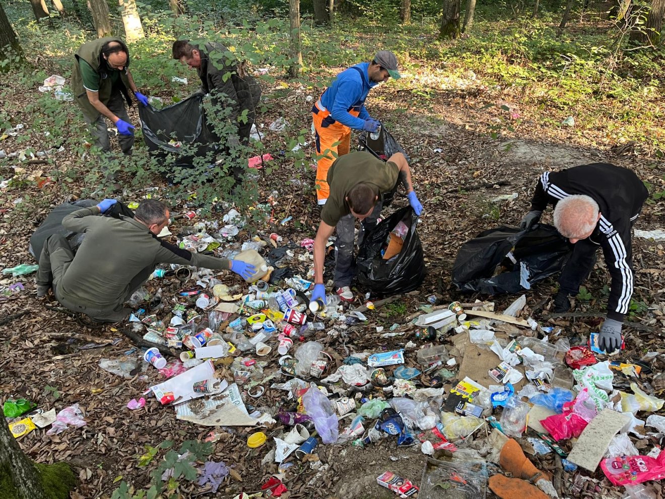 Temes megyében is rengeteg hulladék éktelenkedett az erdőkben • Fotó: Romsilva/Facebook