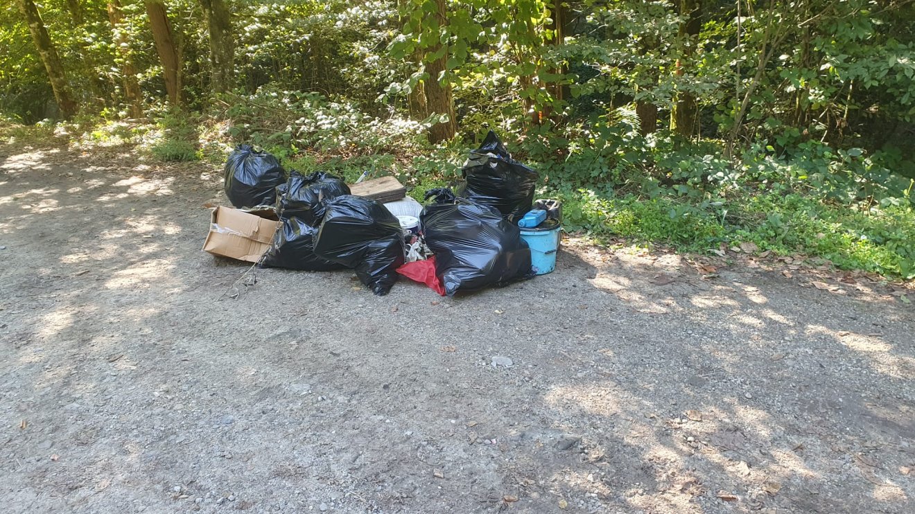 •  Fotó: Romsilva/Facebook