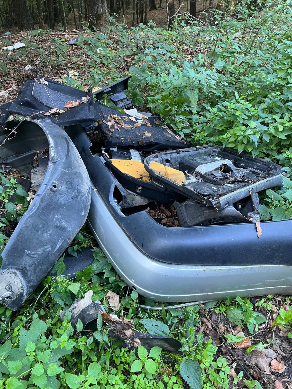 •  Fotó: Romsilva/Facebook