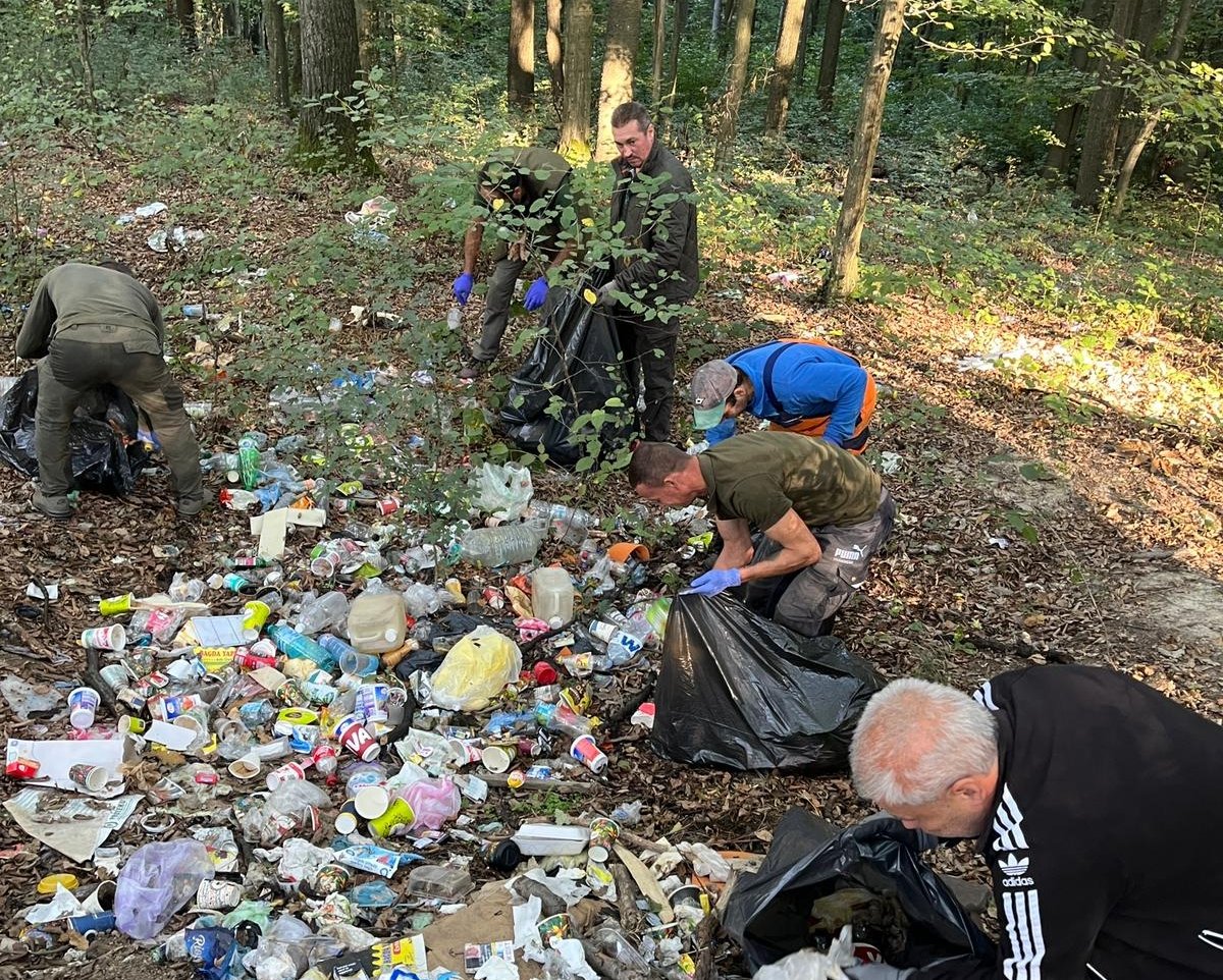 •  Fotó: Romsilva/Facebook