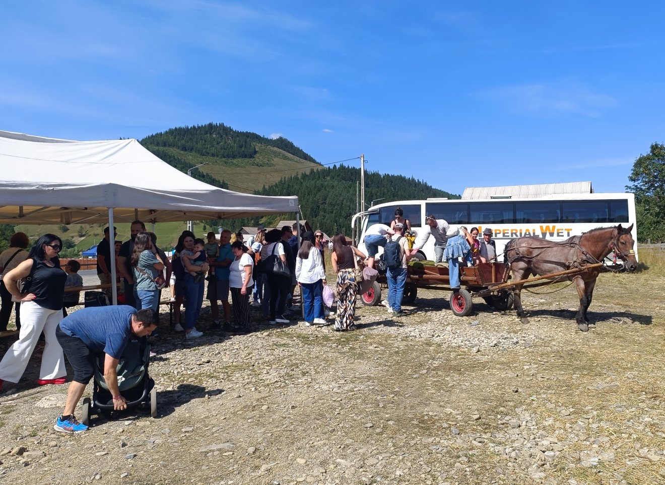 Taste of Transylvania