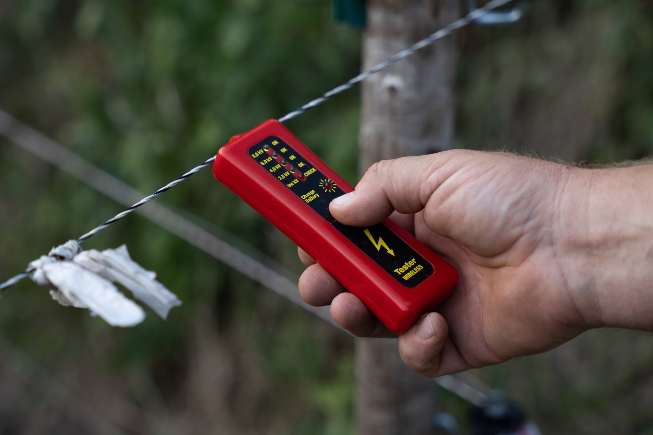 Képünk illusztráció • Fotó: Orbán Orsolya