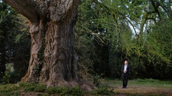 Velencében díjazott nagyjátékfilmet is megtekinthet a közelgő Filmtettfeszt közönsége