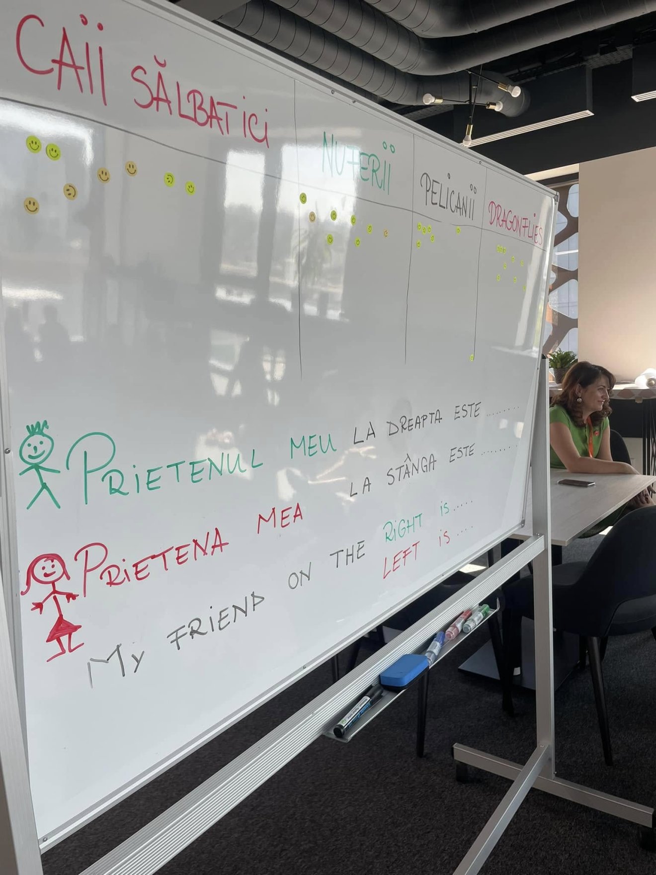 román nyelvtanulás