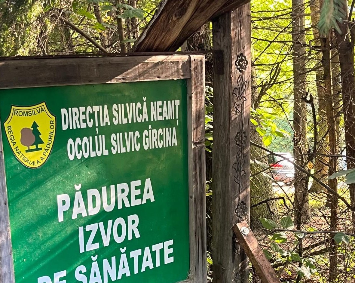 Képünk illusztráció •  Fotó: Facebook/Regia Nationala a Padurilor - Romsilva