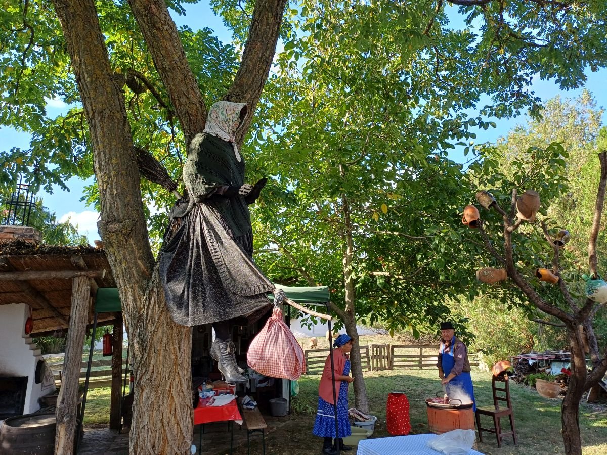 Nincs ebben semmi boszorkányság... •  Fotó: Pataky Lehel Zsolt