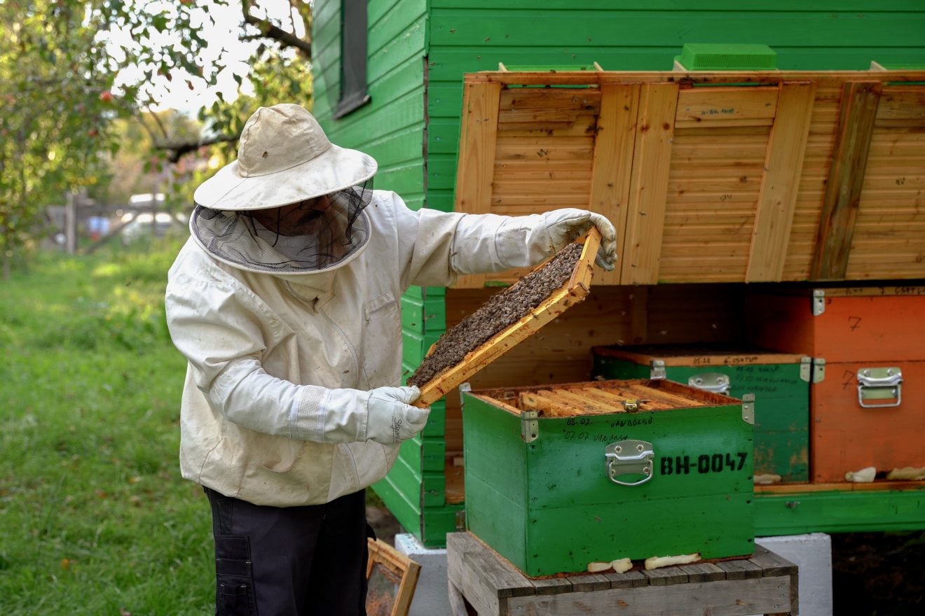 Szeszélyes, de kegyes az idei tavasz a méhészekhez