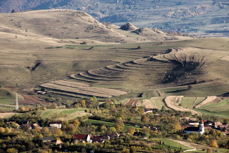Generációs megújulást akar a mezőgazdaságban az Európai Bizottság