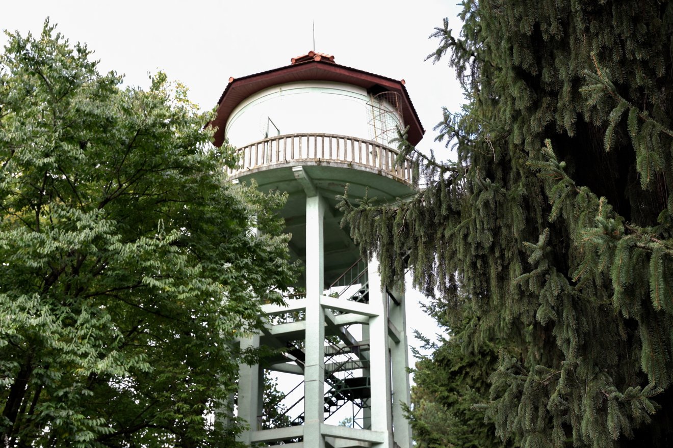 botanikus kert