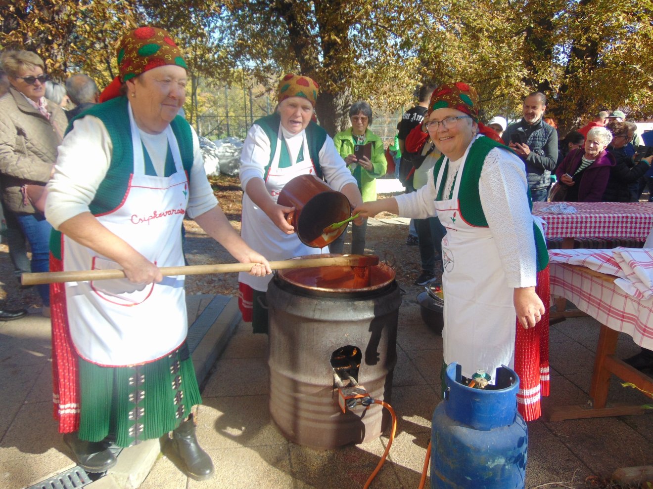 Csipkebogyó