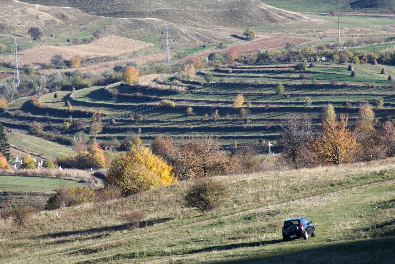 mezőgazdaság