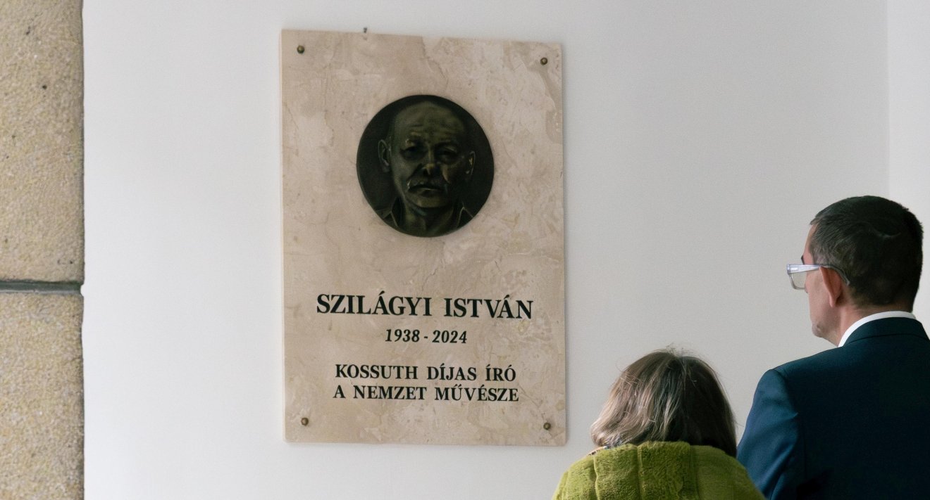 Szilágyi István
