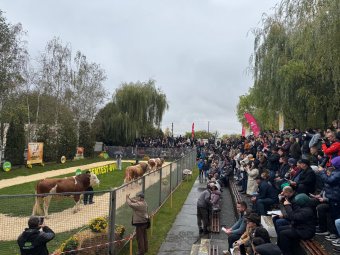 Szövetkezés és bizalom: így képzeli a jövő mezőgazdaságát a minisztérium államtitkára