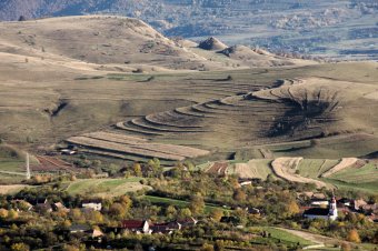 Generációs megújulást akar a mezőgazdaságban az Európai Bizottság