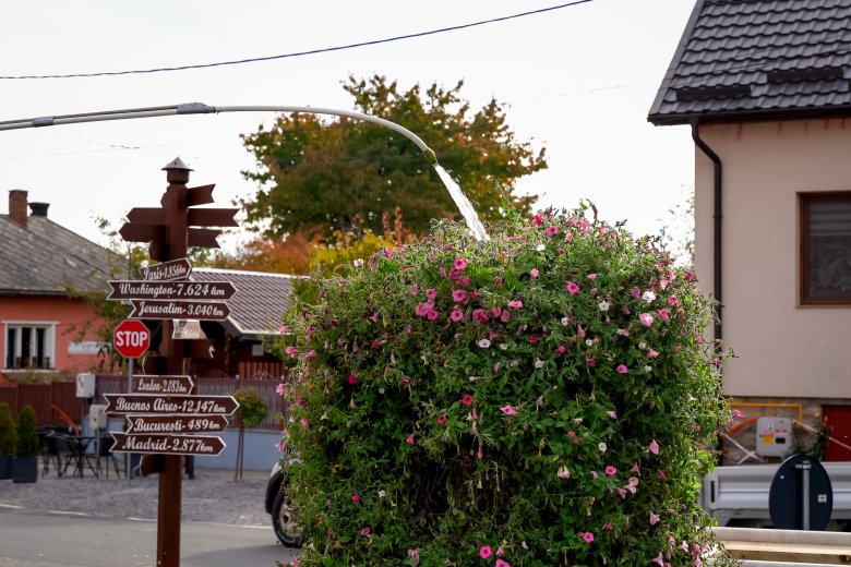 Zöld reneszánsz Erdélyben: a konyhakertmozgalom újra virágzik Kalotaszegen