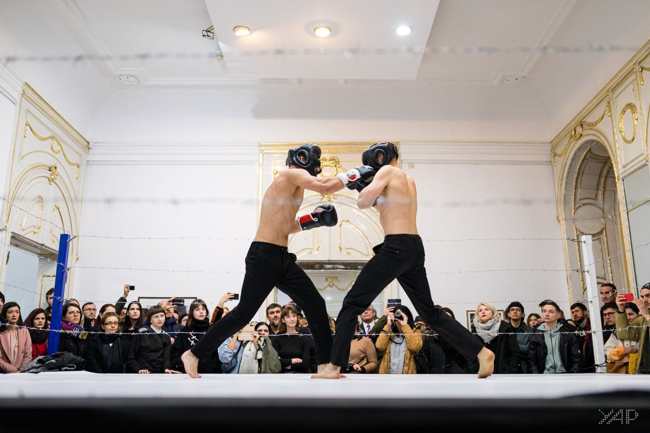 Gáspár Szilárd, ökölvívás, ring