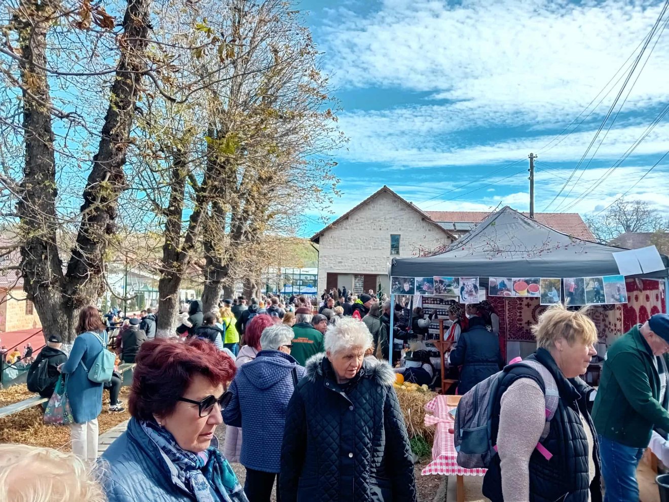 csipkebogyó