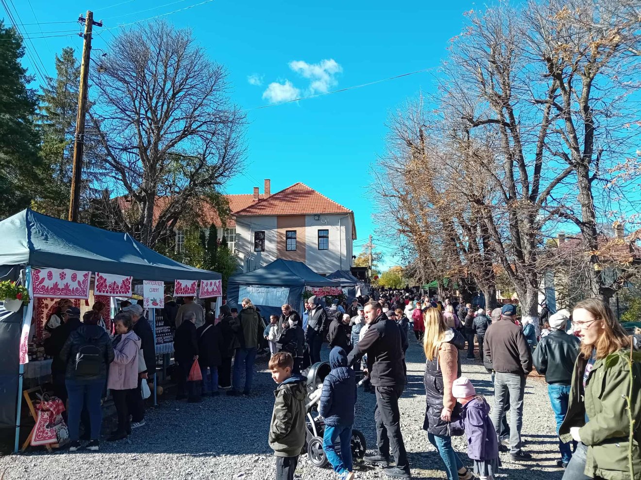 csipkebogyó