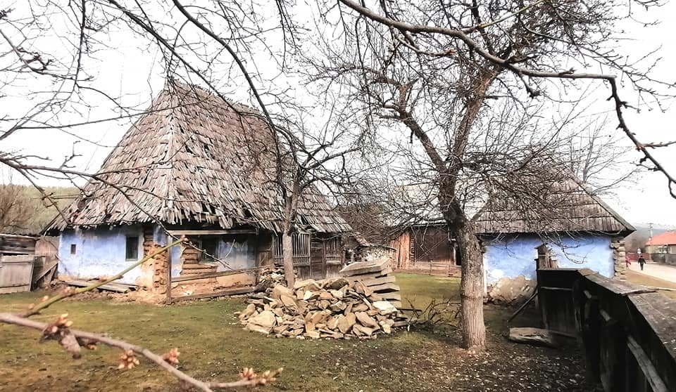 köllő miklós