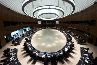 A magyar, román és szlovák agrártárca speciális védelmet kér Brüsszeltől az ukrán importtal szemben