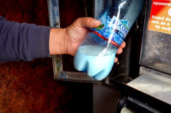 A laktózmentes forradalom közben is szárnyal a tejipar