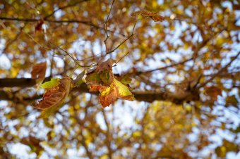 Felmelegedés a láthatáron, csapadékra is kell számítani
