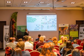 Mexikótól Hollandiáig kíváncsiak arra, hogyan oldják meg a medvegondokat Tusnádfürdőn