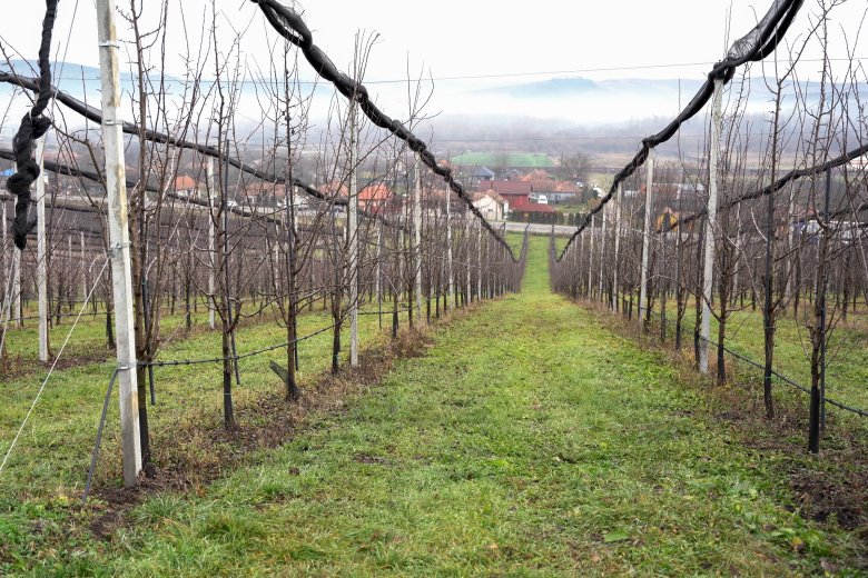 Agrármeteorológiai előrejelzés: kedvező a helyzet a földeken, de jönnek a fagyos éjszakák