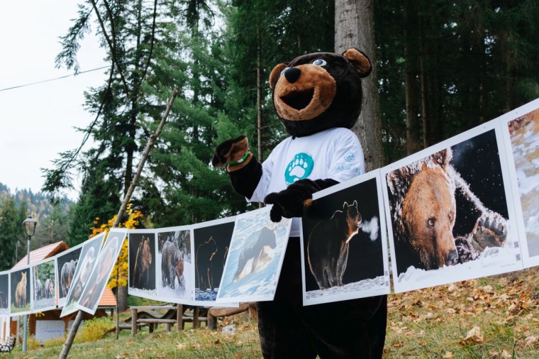 Medve, játék, tanulás: fesztivál hozta közelebb a székely diákokhoz a környezetvédelmet