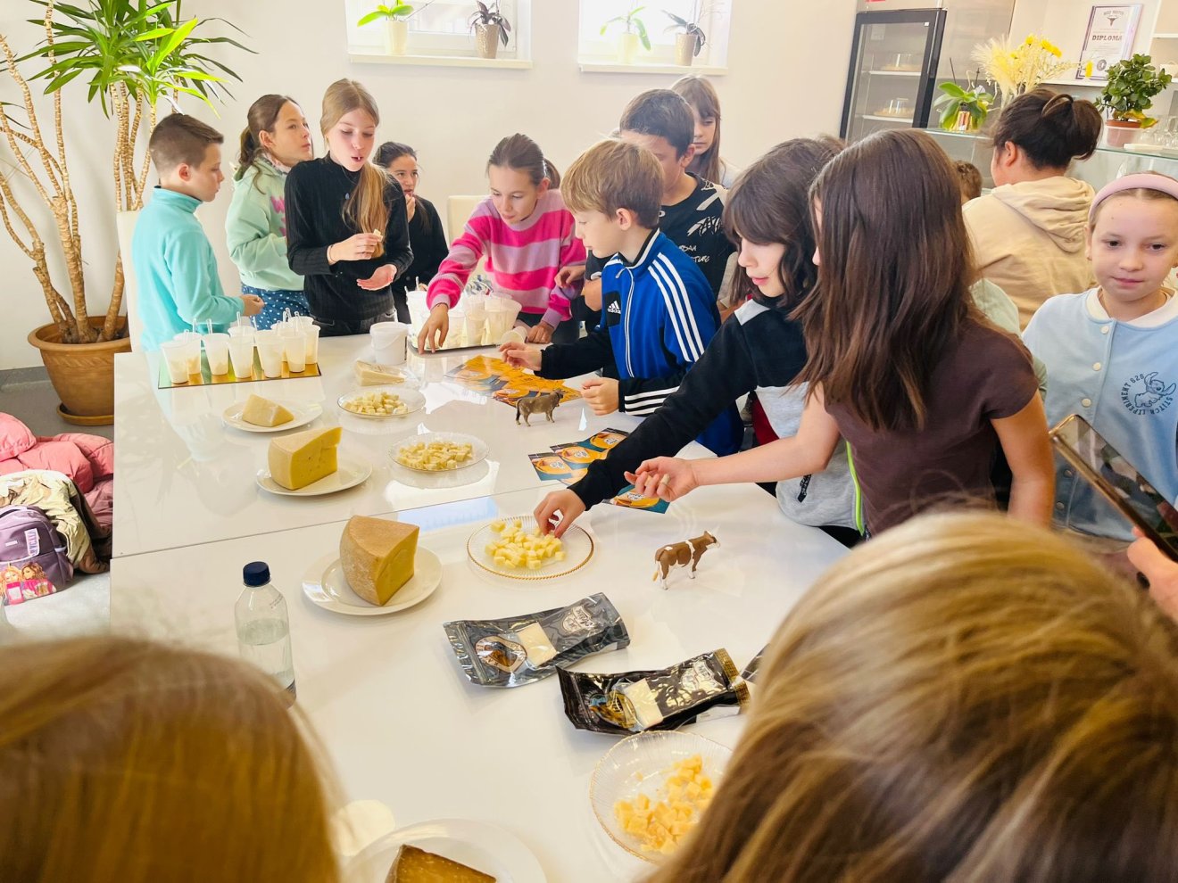 agrosic, kovászna megye, gyerekek