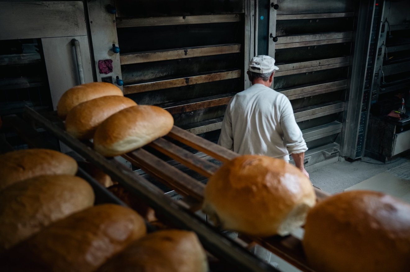 •  Fotó: Mák Krisztián/Pro Agricultura