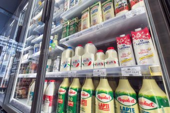 Versenytanács: befolyásolhatja a tejipari piac szerkezetét a Bonafarm és a FrieslandCampina közötti tranzakció