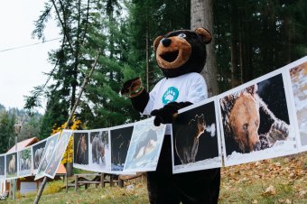 Medve, játék, tanulás: fesztivál hozta közelebb a székely diákokhoz a környezetvédelmet